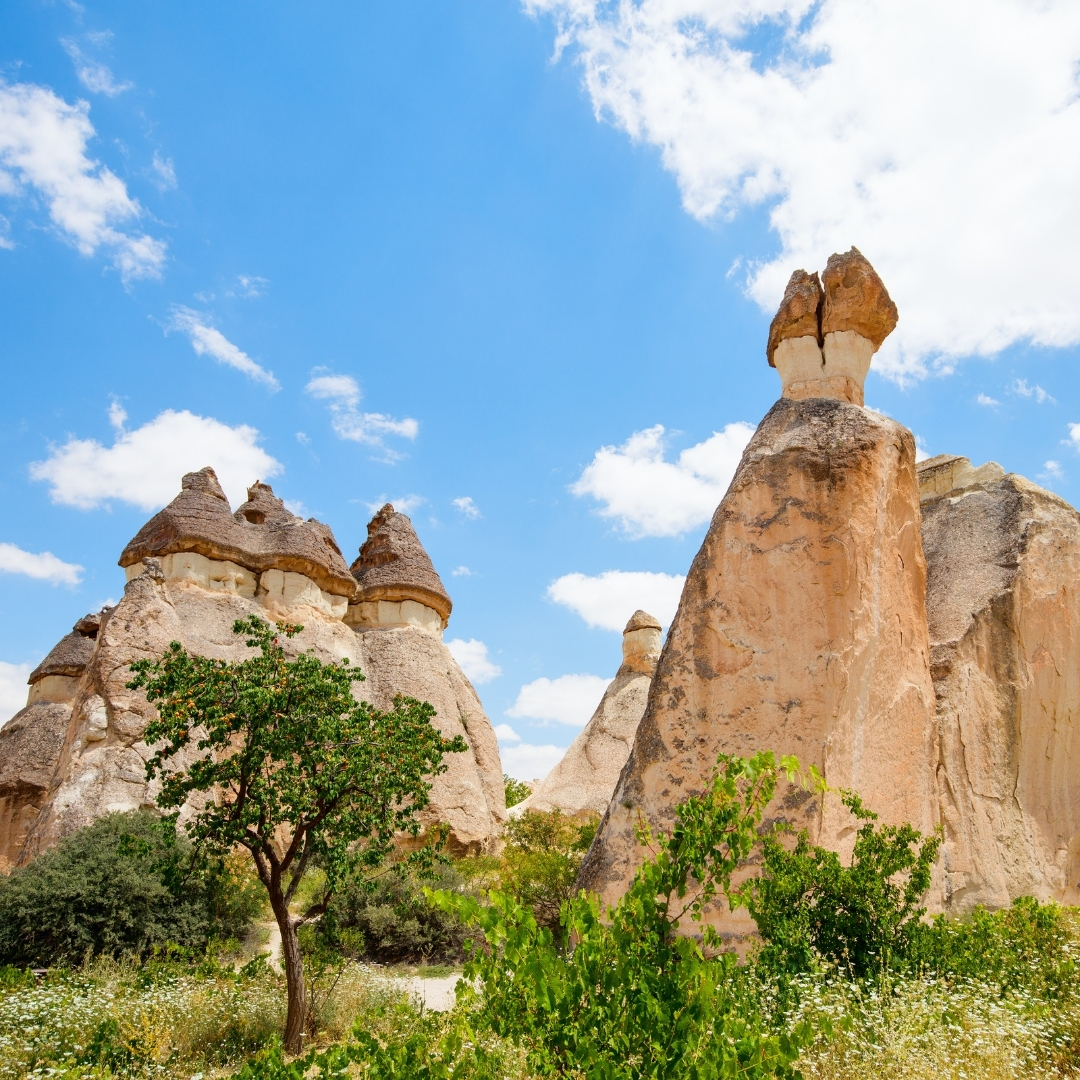 GOREME MUSEUM AND FAIRY CHIMNEY CAPPADOCIA TOUR img